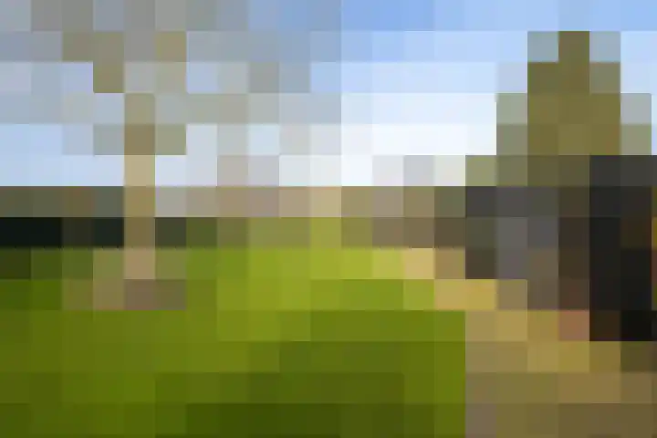 Nieuwkuijksestraat 52 Nieuwkuijk thumbnail 26