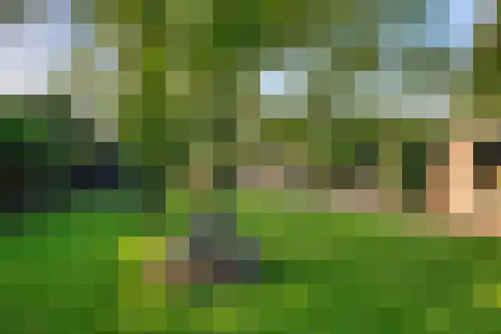 Nieuwkuijksestraat 52 Nieuwkuijk thumbnail 27