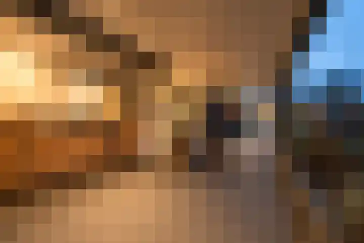 Nieuwkuijksestraat 52 Nieuwkuijk thumbnail 34