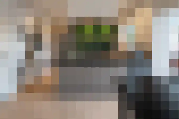Nieuwkuijksestraat 52 Nieuwkuijk thumbnail 4