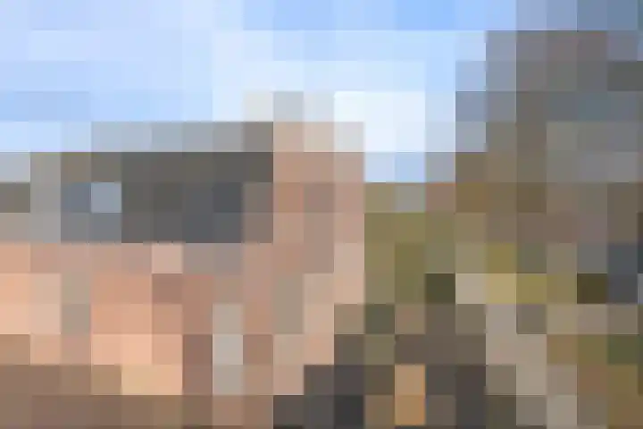 Nieuwkuijksestraat 52 Nieuwkuijk thumbnail 40