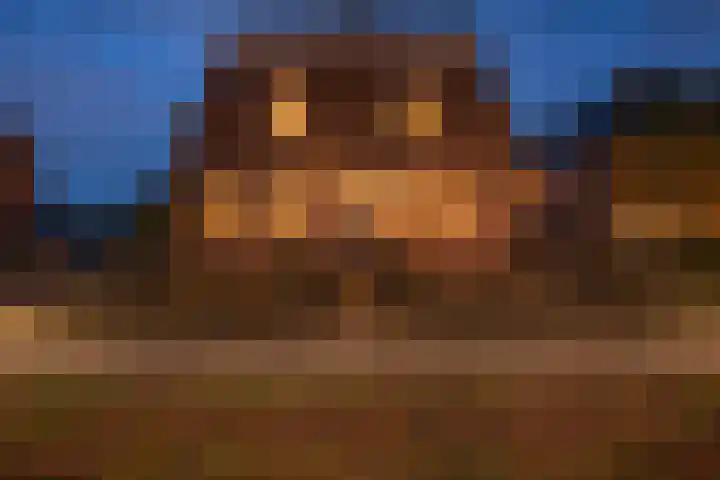 Nieuwkuijksestraat 52 Nieuwkuijk thumbnail 41