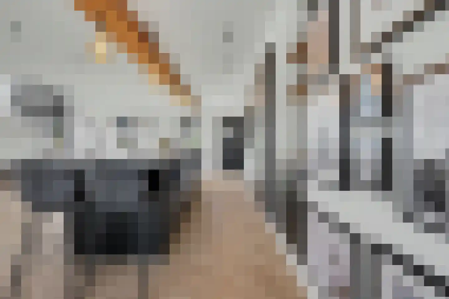 Nieuwkuikseweg 12 Helvoirt thumbnail 12