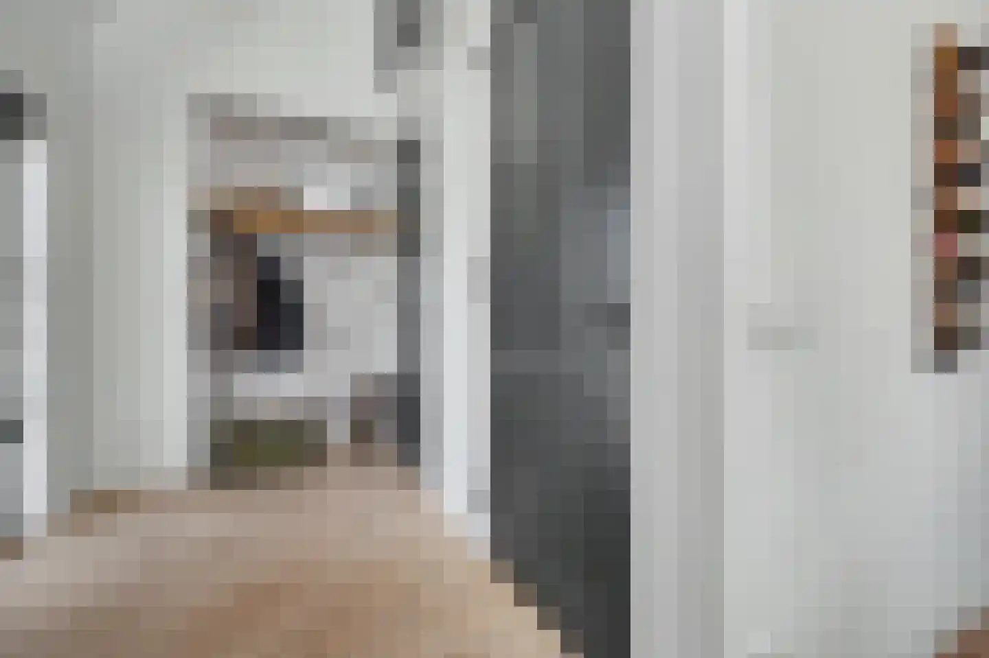 Nieuwkuikseweg 12 Helvoirt thumbnail 19