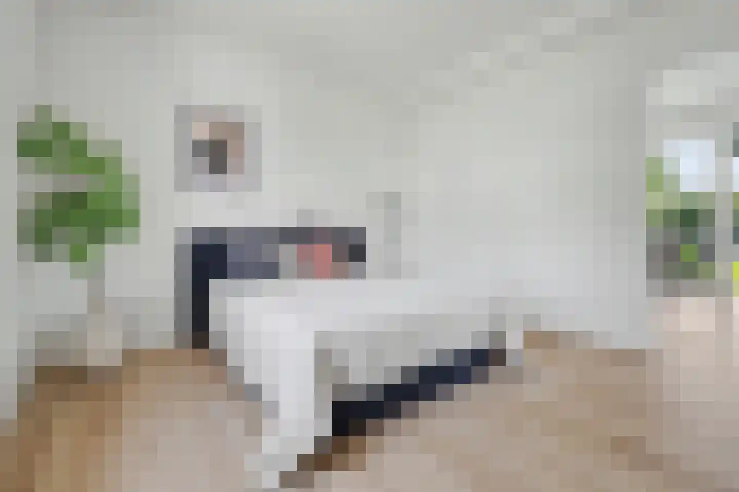 Nieuwkuikseweg 12 Helvoirt thumbnail 35