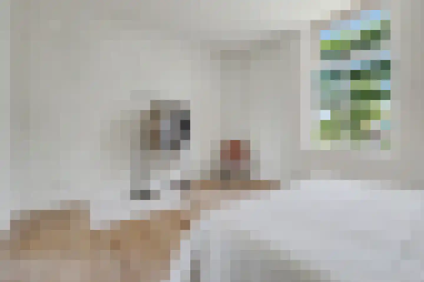 Nieuwkuikseweg 12 Helvoirt thumbnail 36