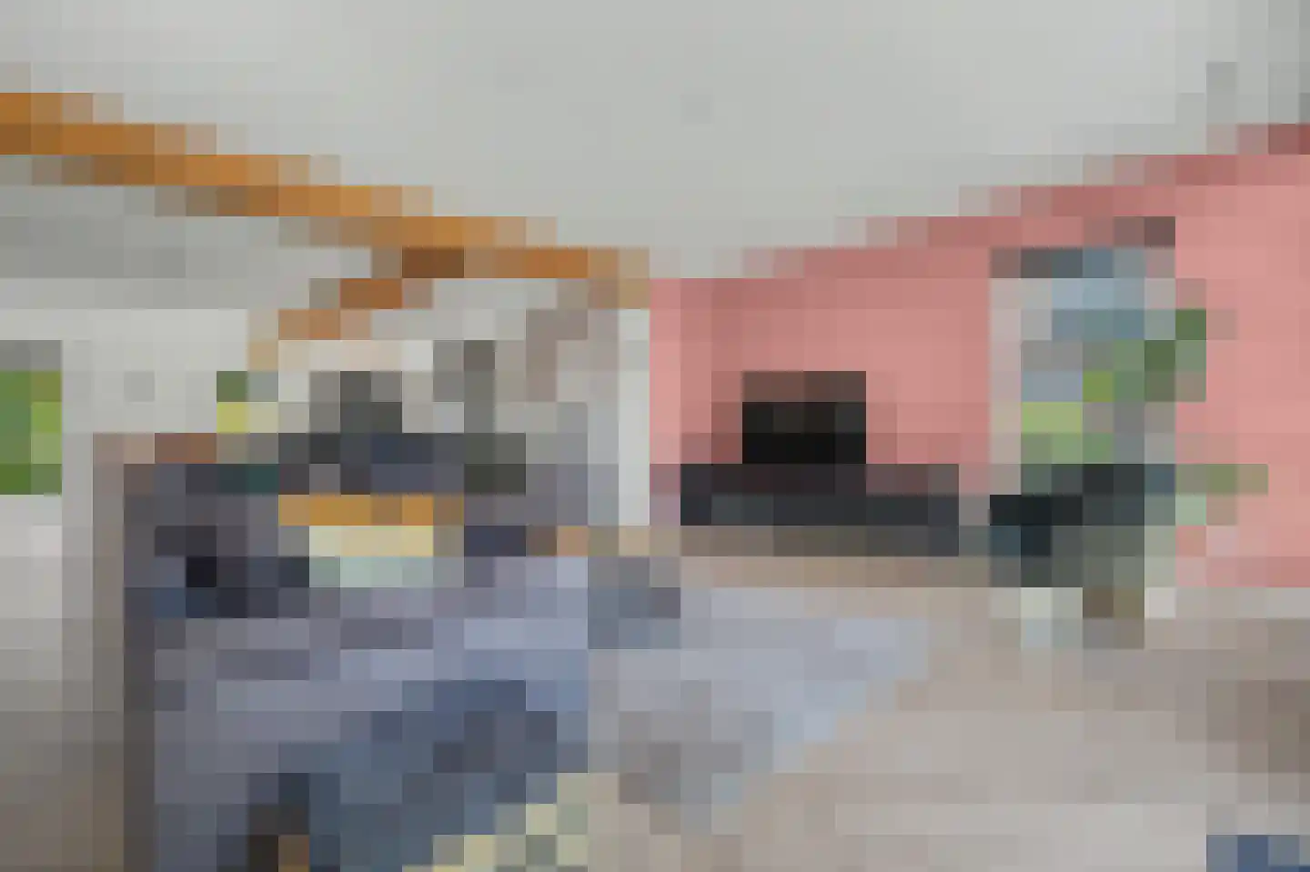 Nieuwkuikseweg 12 Helvoirt thumbnail 4