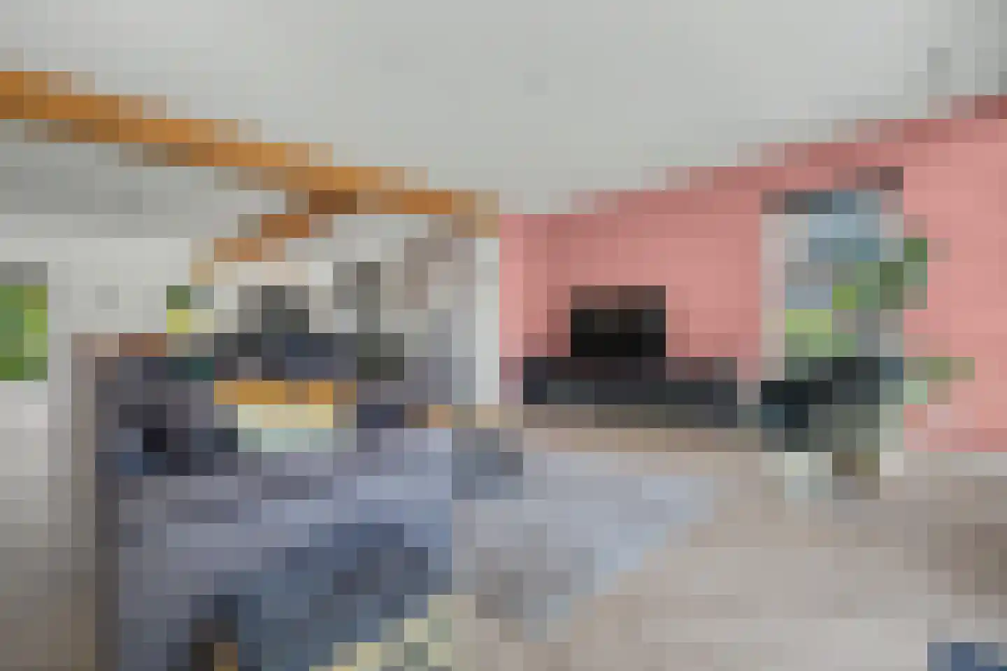 Nieuwkuikseweg 12 Helvoirt thumbnail 4
