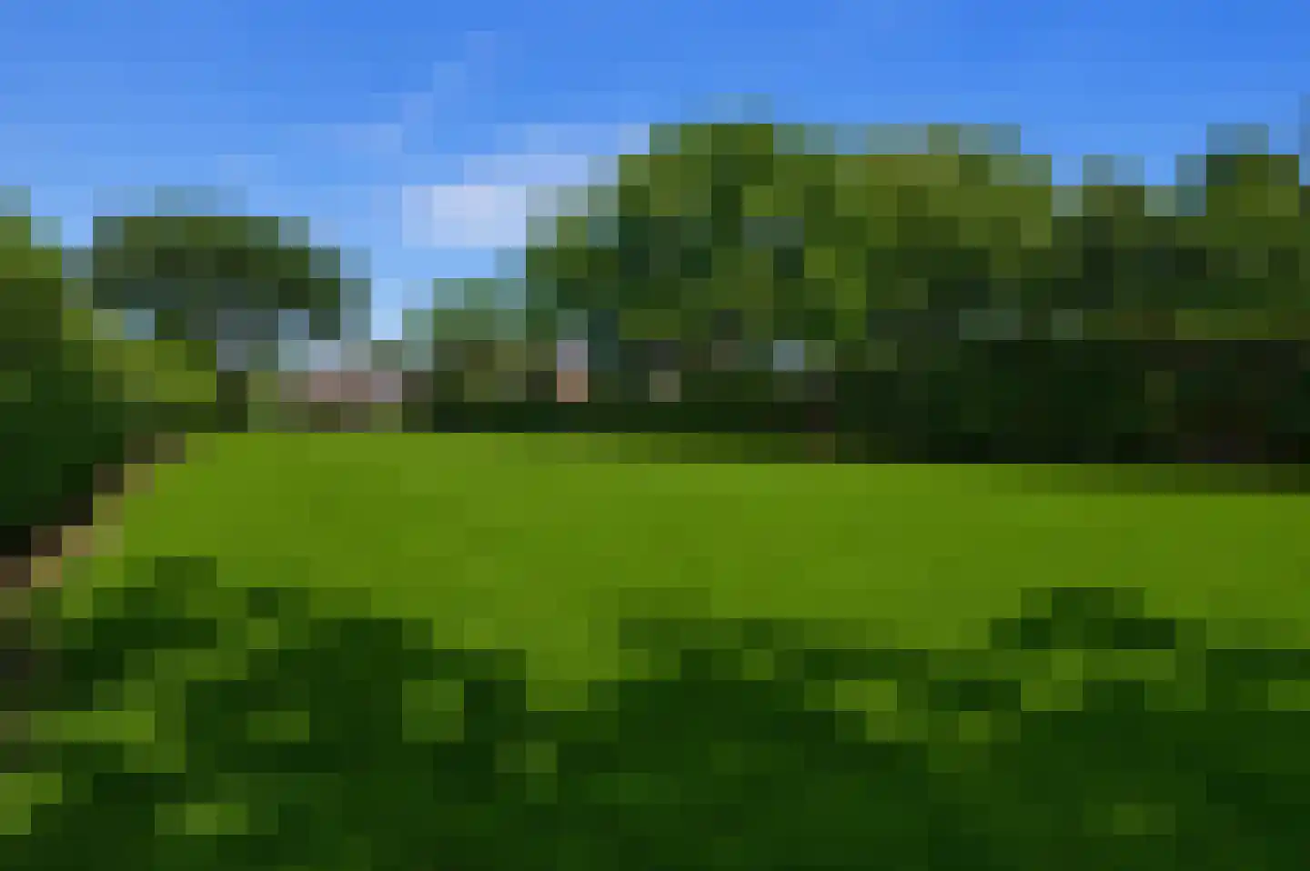 Nieuwkuikseweg 12 Helvoirt thumbnail 61