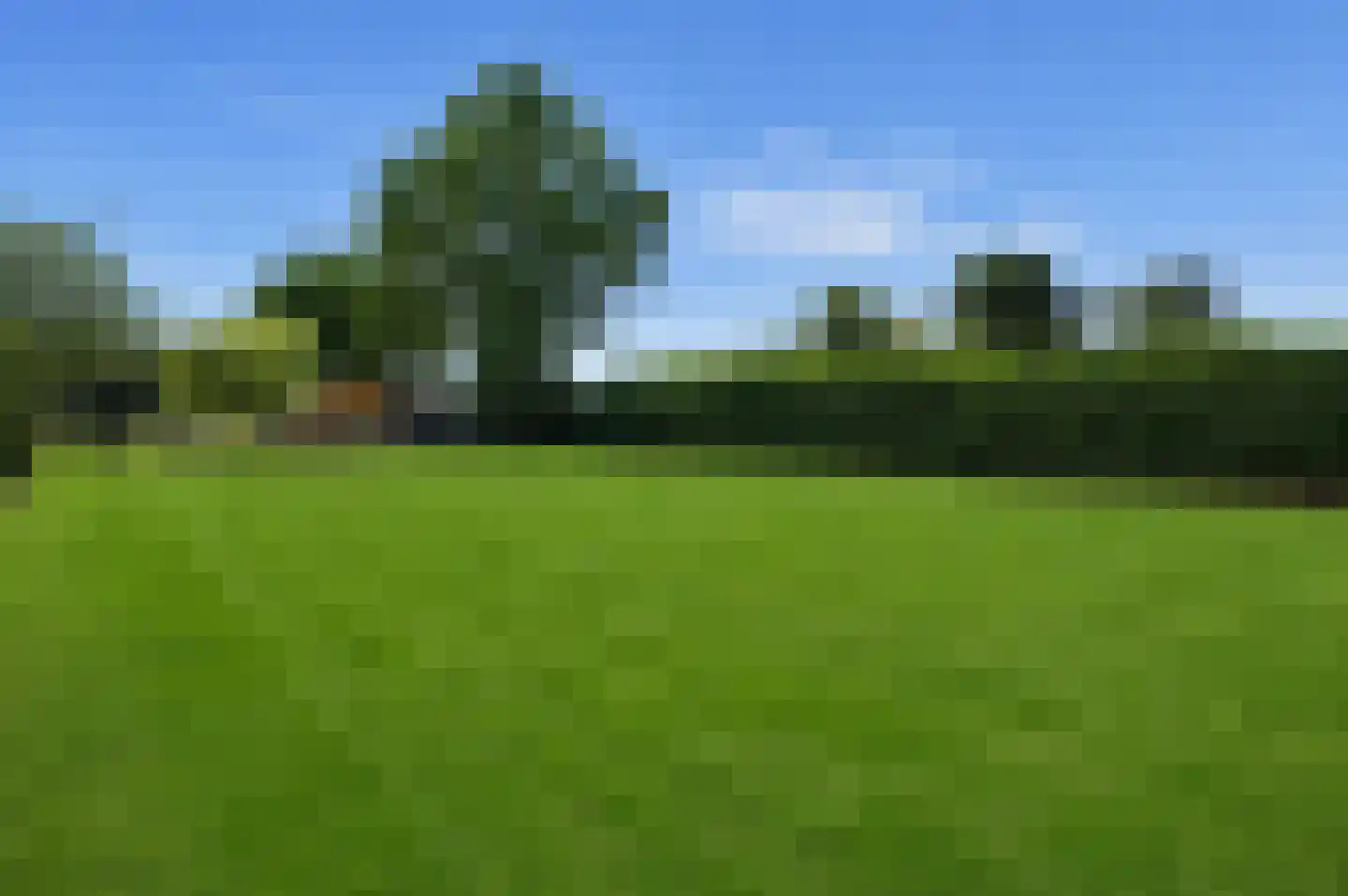 Nieuwkuikseweg 12 Helvoirt thumbnail 62