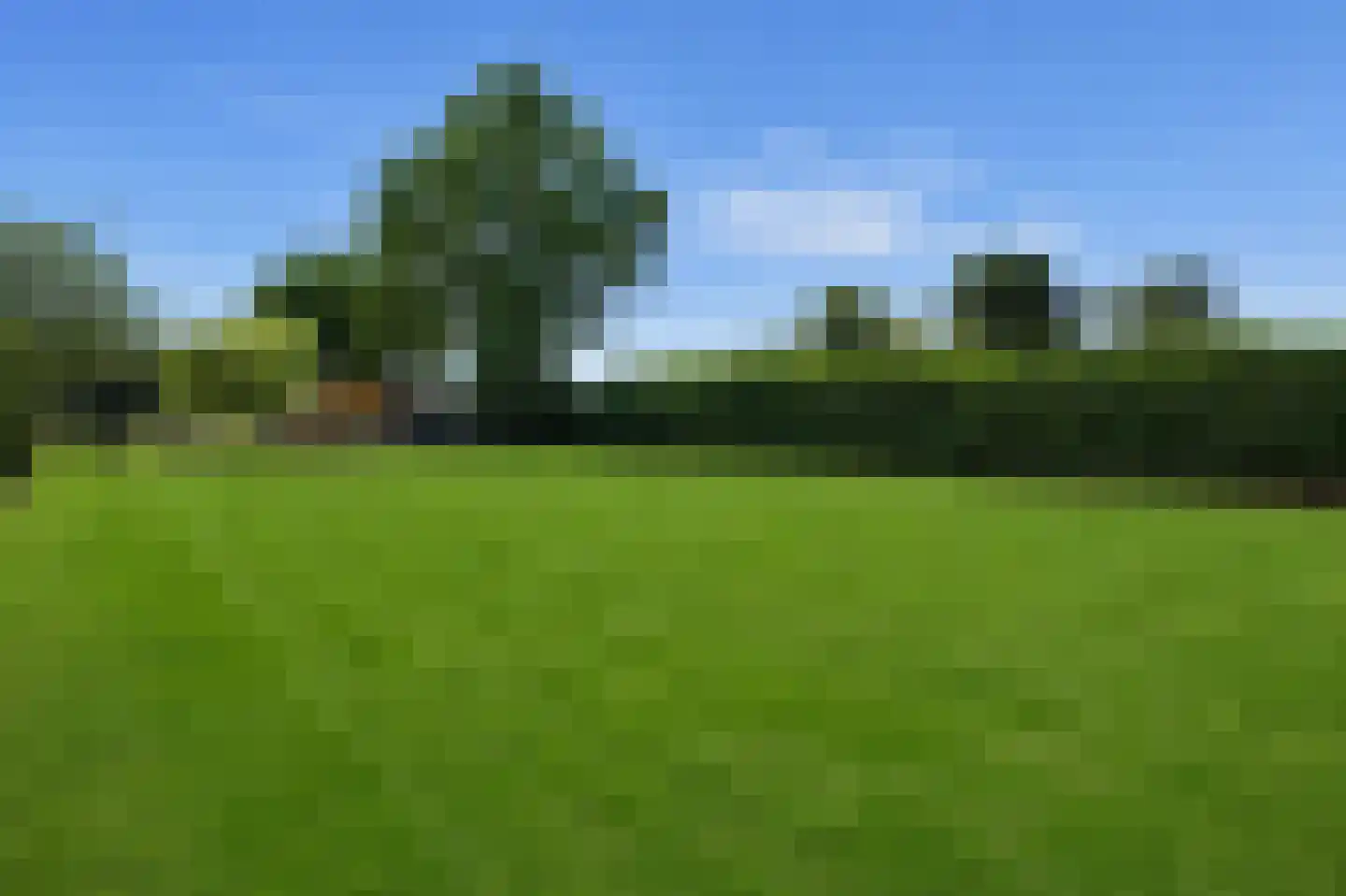 Nieuwkuikseweg 12 Helvoirt thumbnail 62