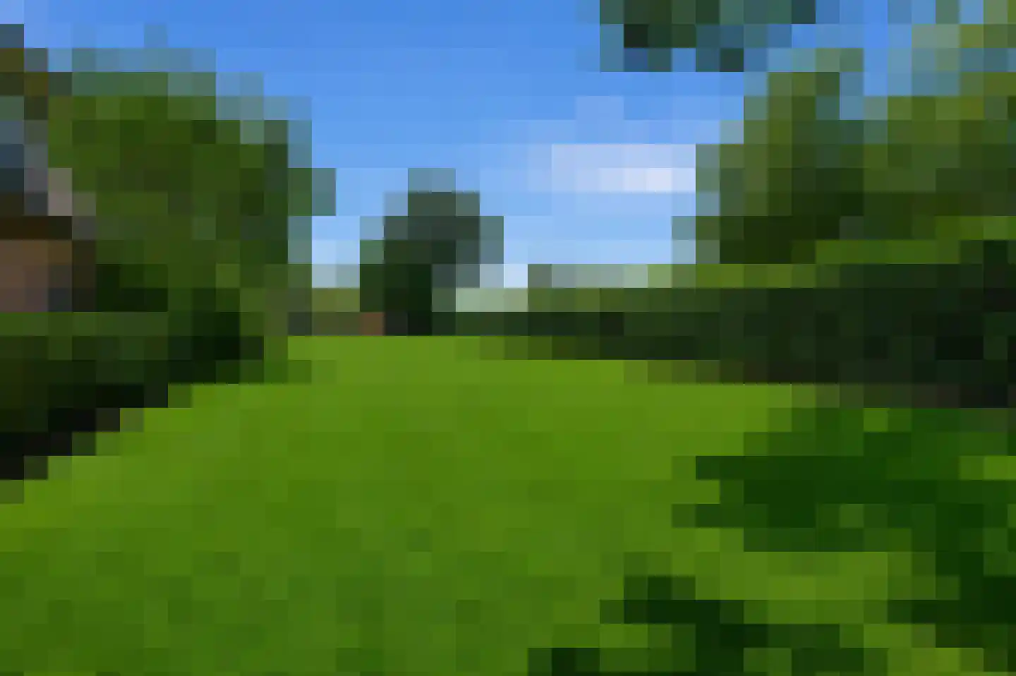 Nieuwkuikseweg 12 Helvoirt thumbnail 63