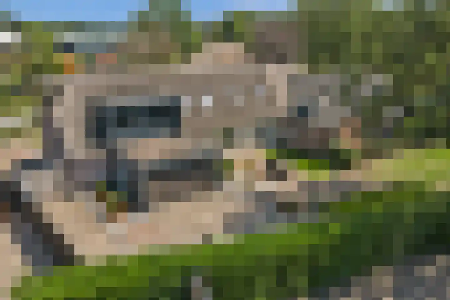 Nieuwkuikseweg 12 Helvoirt thumbnail 66