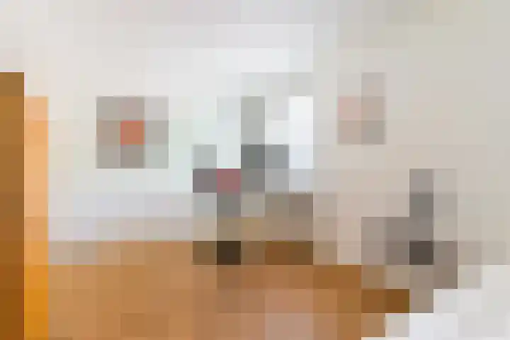Nieuwkuikseweg 22 Helvoirt thumbnail 23