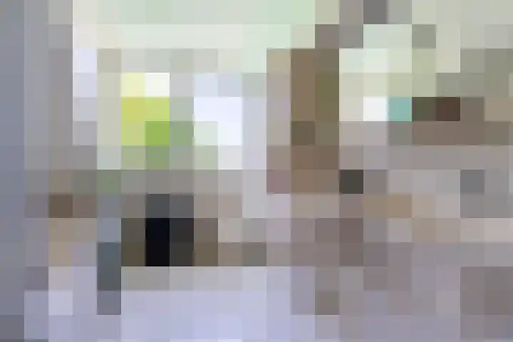 Nieuwkuikseweg 22 Helvoirt thumbnail 30