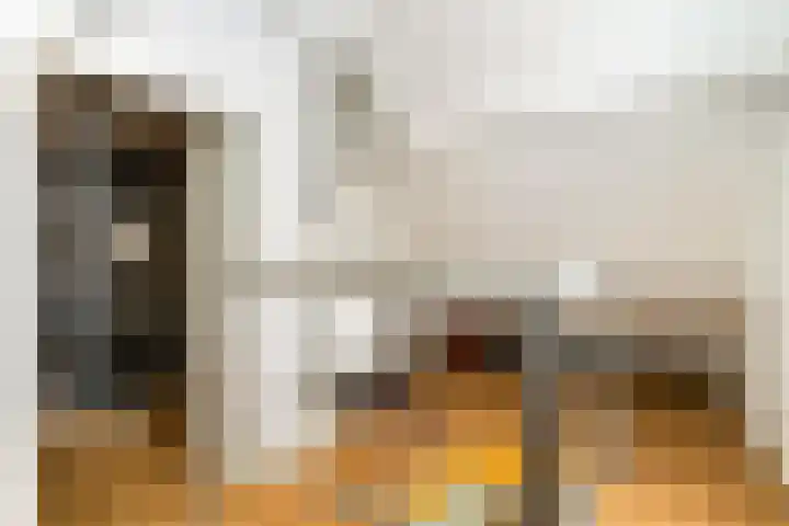 Nieuwkuikseweg 22 Helvoirt thumbnail 33
