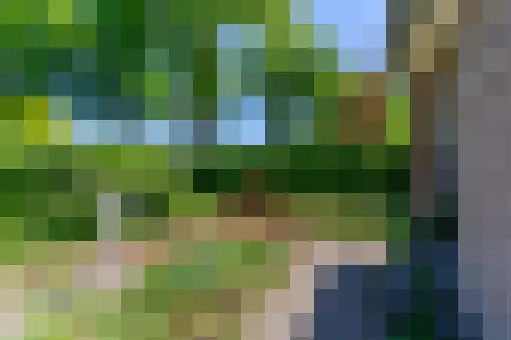 Nieuwkuikseweg 22 Helvoirt thumbnail 41