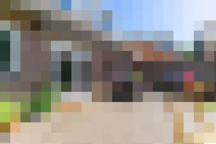 Nieuwkuikseweg 22 Helvoirt thumbnail 44