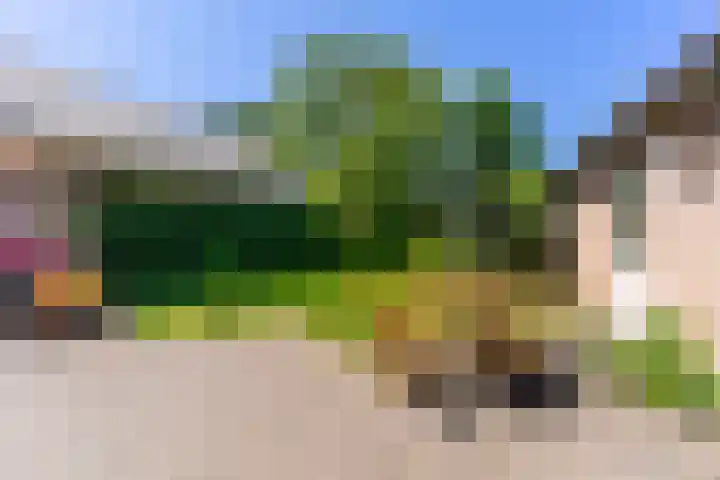Nieuwkuikseweg 22 Helvoirt thumbnail 46