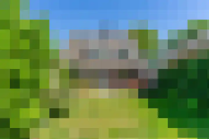 Nieuwkuikseweg 22 Helvoirt thumbnail 50
