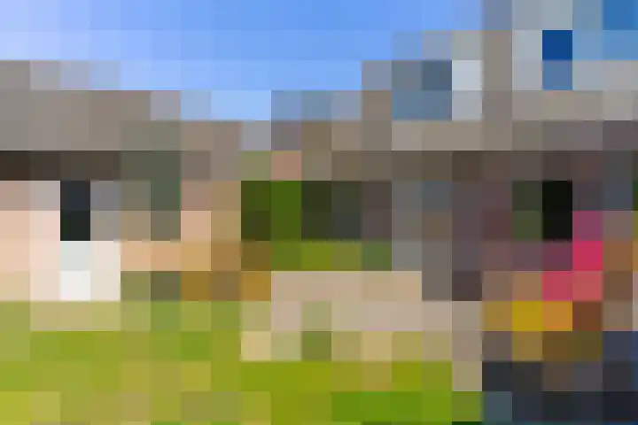 Nieuwkuikseweg 22 Helvoirt thumbnail 51