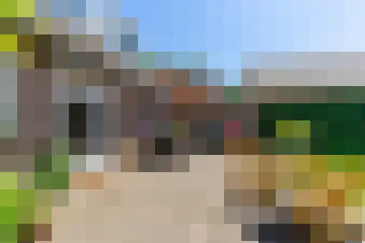 Nieuwkuikseweg 22 Helvoirt thumbnail 52