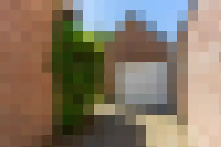 Nieuwkuikseweg 22 Helvoirt thumbnail 53