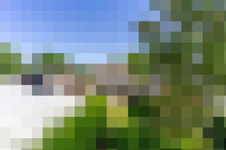 Nieuwkuikseweg 22 Helvoirt thumbnail 55