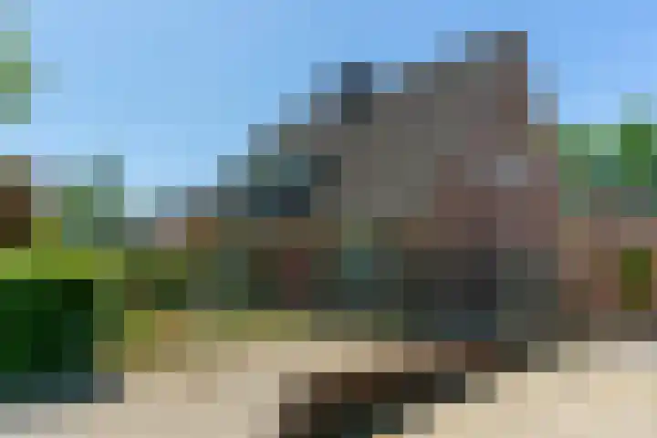 Nieuwkuikseweg 22 Helvoirt thumbnail 57