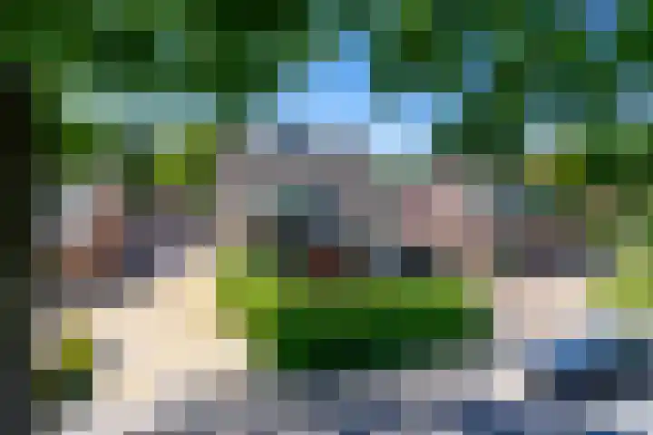 Nieuwkuikseweg 22 Helvoirt thumbnail 67