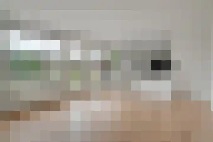 Nieuwland 11 Wapse thumbnail 10