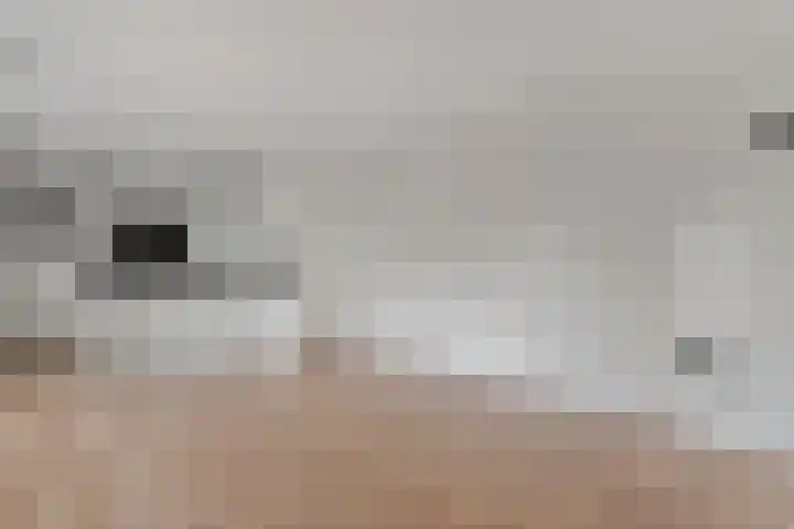Nieuwland 11 Wapse thumbnail 11