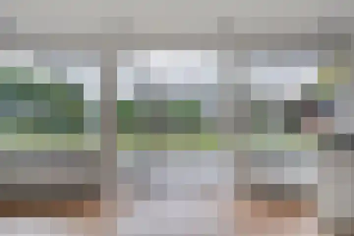 Nieuwland 11 Wapse thumbnail 15