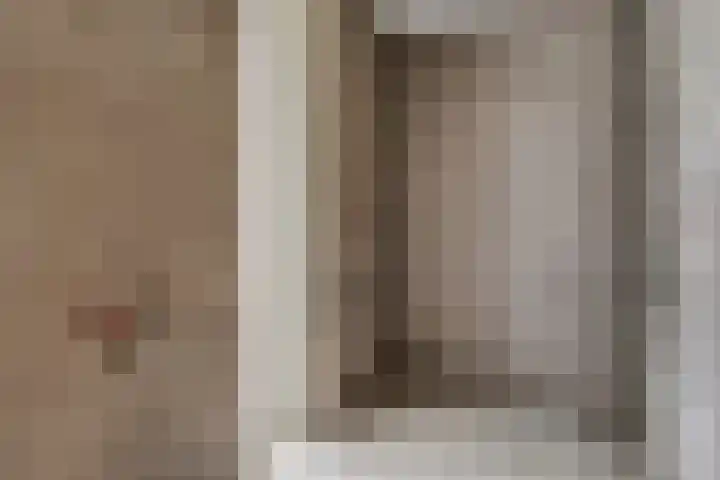 Nieuwland 11 Wapse thumbnail 17