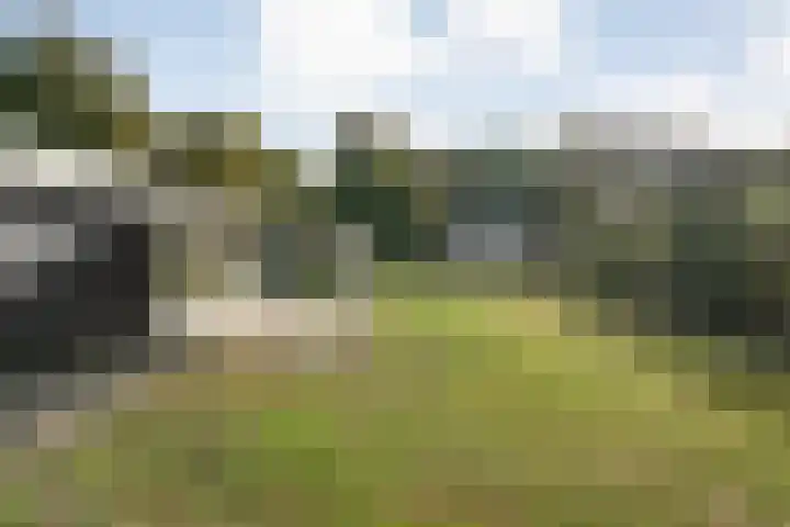 Nieuwland 11 Wapse thumbnail 23