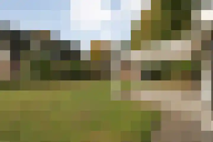 Nieuwland 11 Wapse thumbnail 24