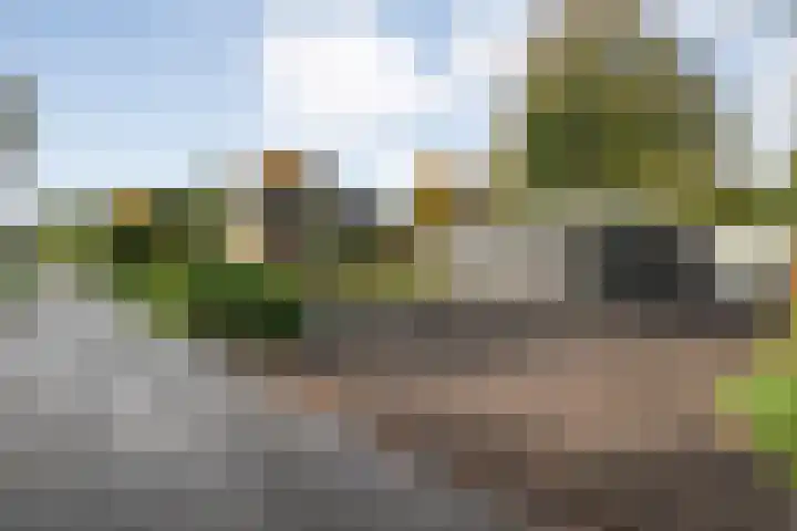 Nieuwland 11 Wapse thumbnail 25