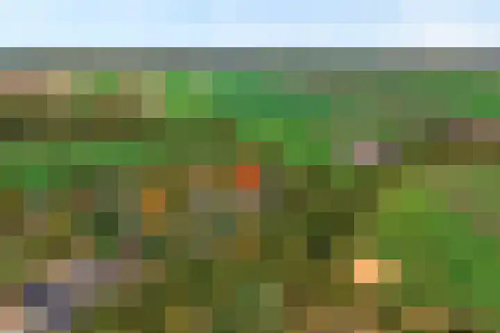 Nieuwland 11 Wapse thumbnail 4