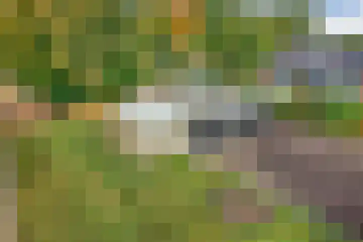 Nieuwland 11 Wapse thumbnail 5