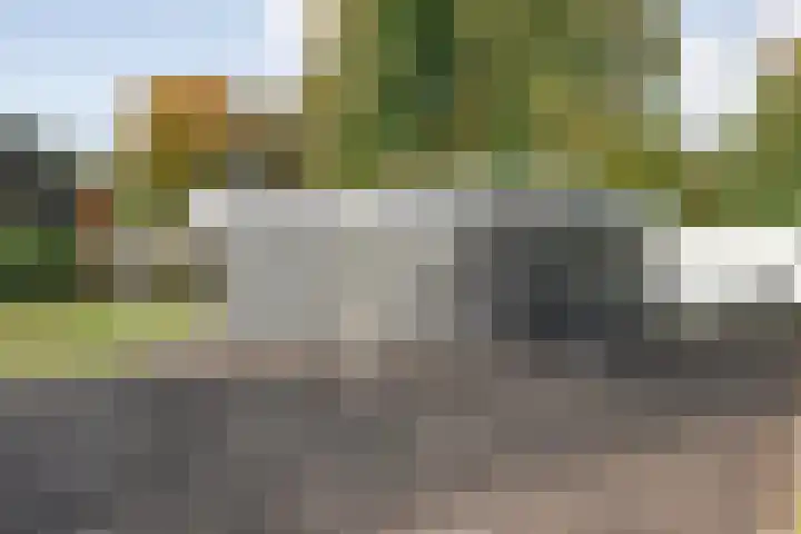 Nieuwland 11 Wapse thumbnail 6