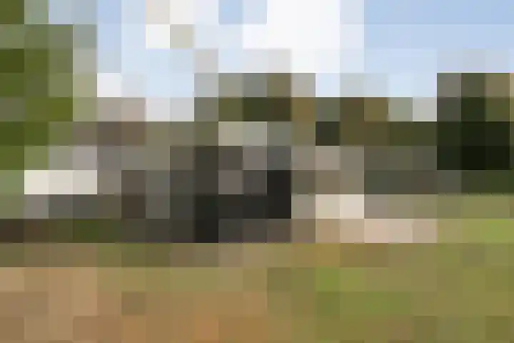 Nieuwland 11 Wapse thumbnail 7