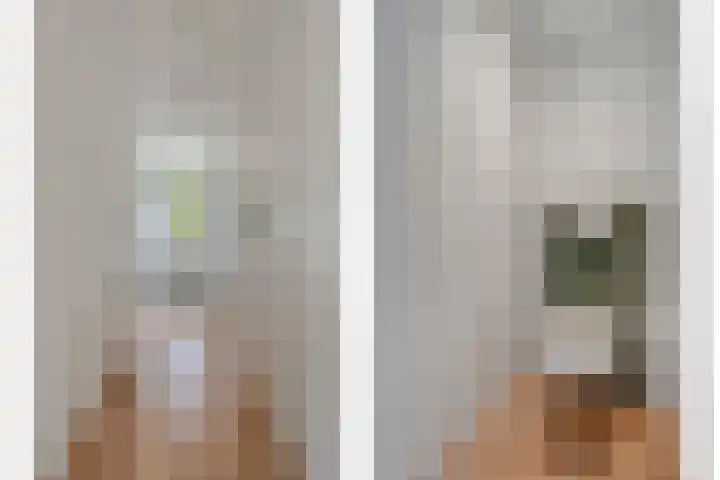 Nieuwland 11 Wapse thumbnail 8