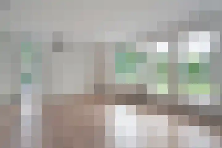 Nieuwland 11 Wapse thumbnail 9