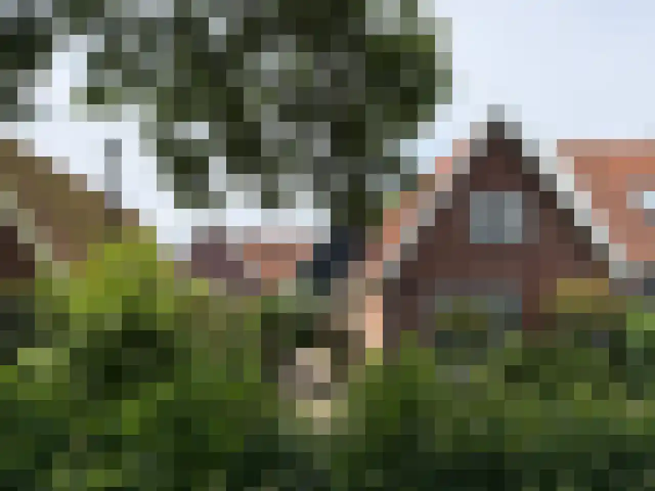 Nieuwland 12 De Rijp foto 2