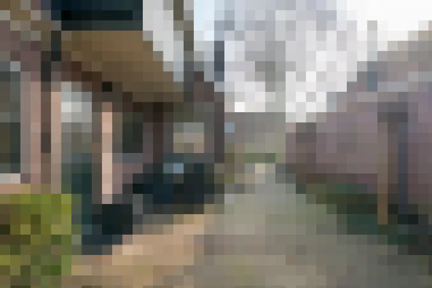 Nieuwland 12 De Rijp thumbnail 38