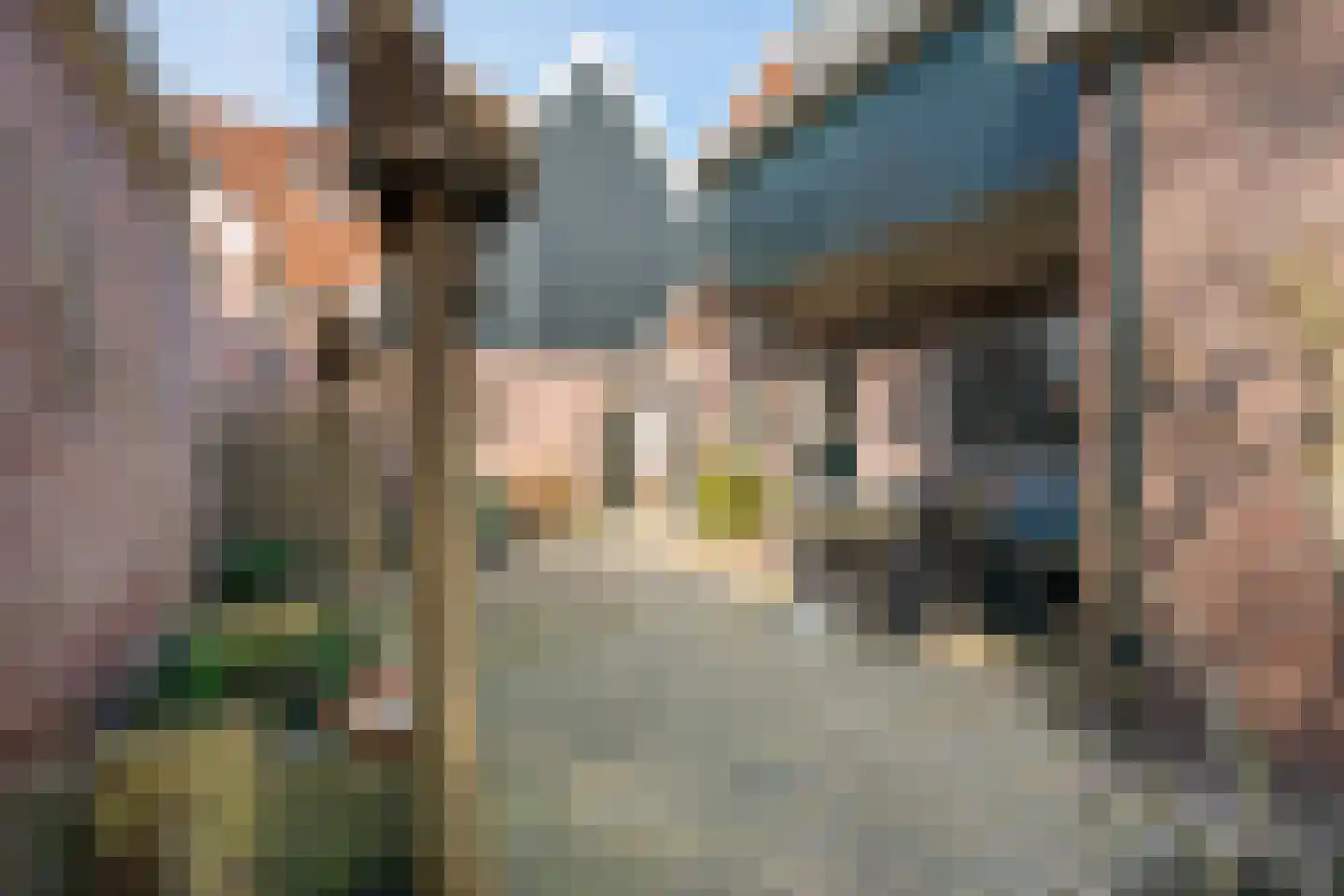 Nieuwland 12 De Rijp thumbnail 39