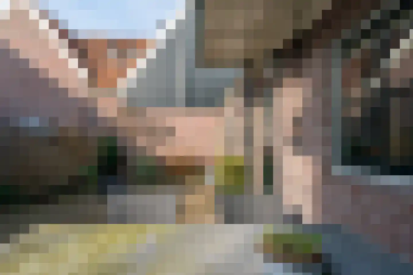 Nieuwland 12 De Rijp thumbnail 41