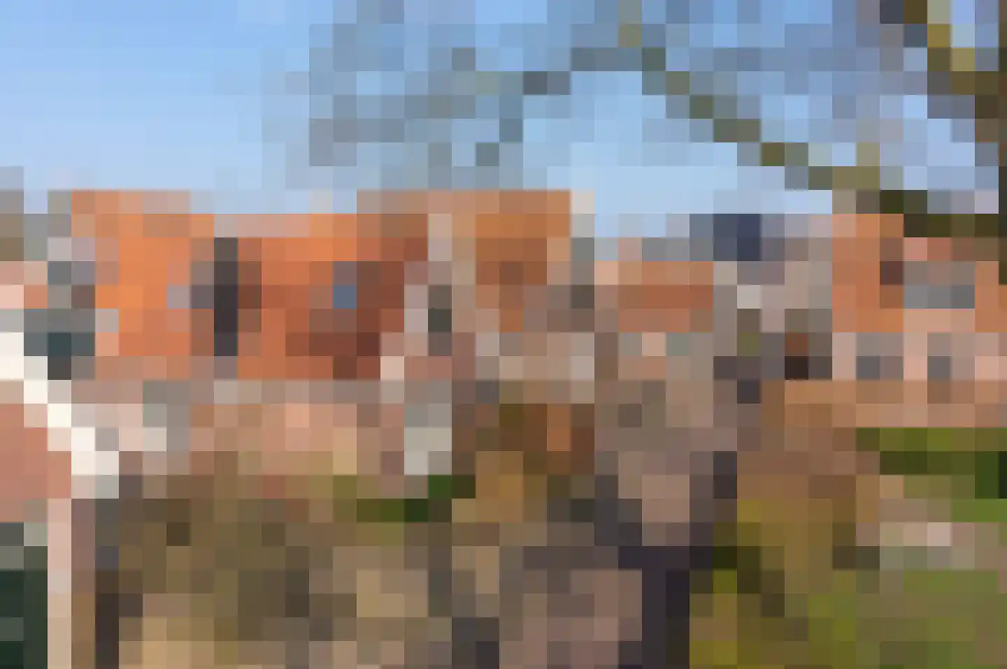 Nieuwland 12 De Rijp thumbnail 47