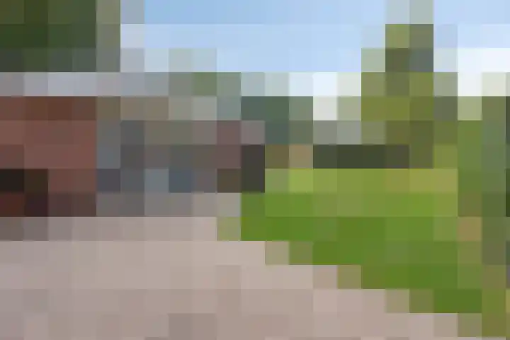 Nieuwland 12 Wapse thumbnail 23