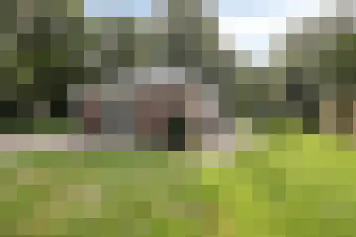 Nieuwland 12 Wapse thumbnail 25